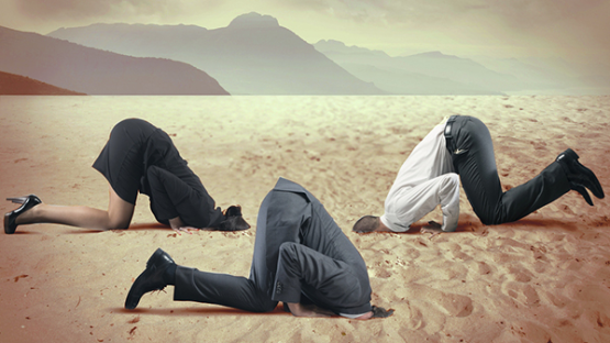 head in the sand